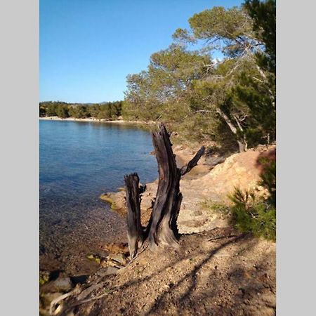 Face Mer Entre Plage Et Marina บอร์มส์-เลส์-มิโมซาส์ ภายนอก รูปภาพ
