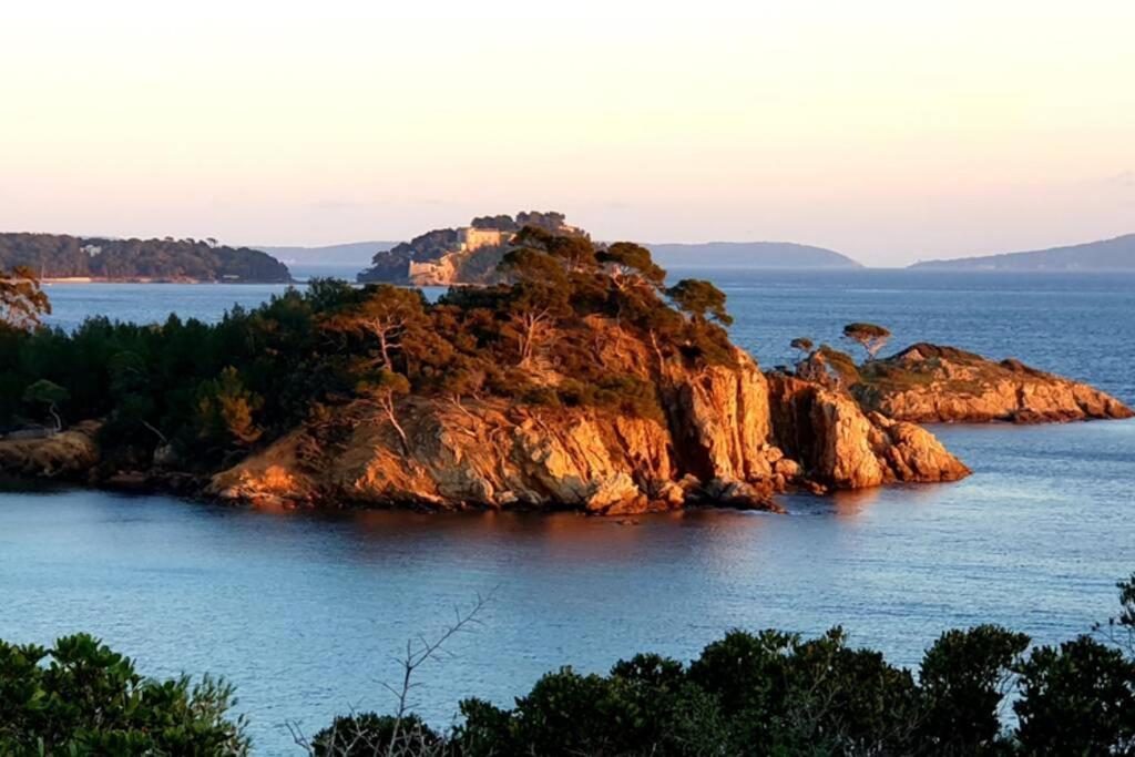 Face Mer Entre Plage Et Marina บอร์มส์-เลส์-มิโมซาส์ ภายนอก รูปภาพ