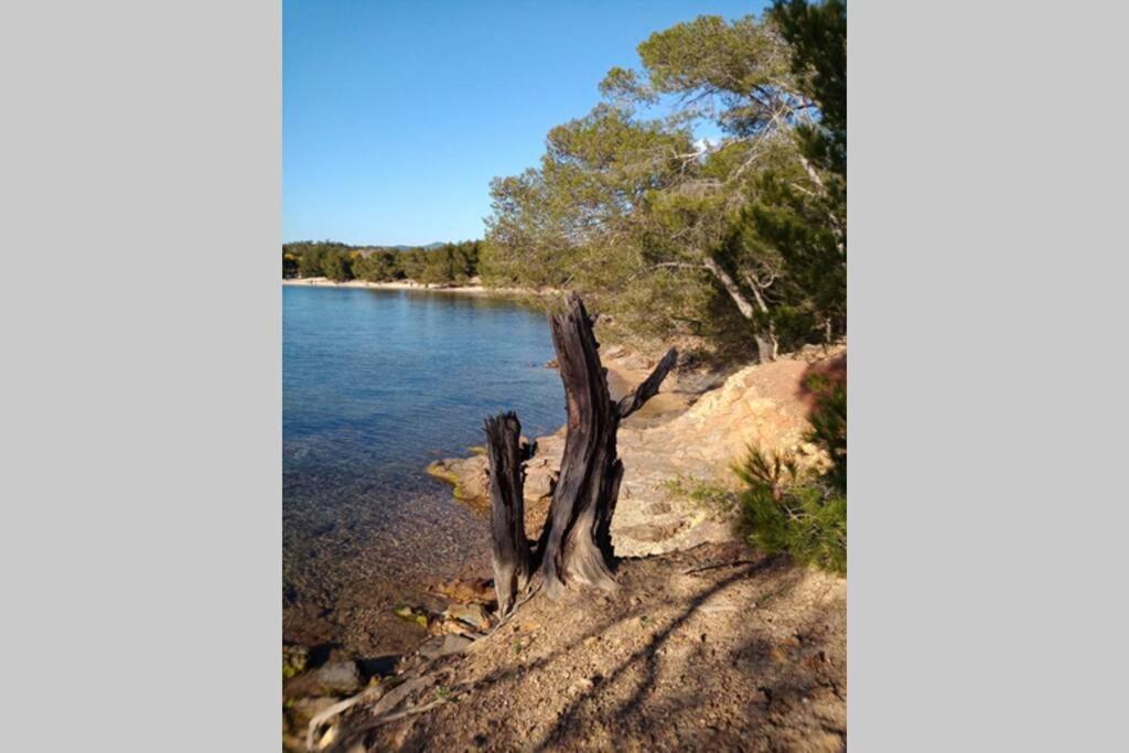 Face Mer Entre Plage Et Marina บอร์มส์-เลส์-มิโมซาส์ ภายนอก รูปภาพ