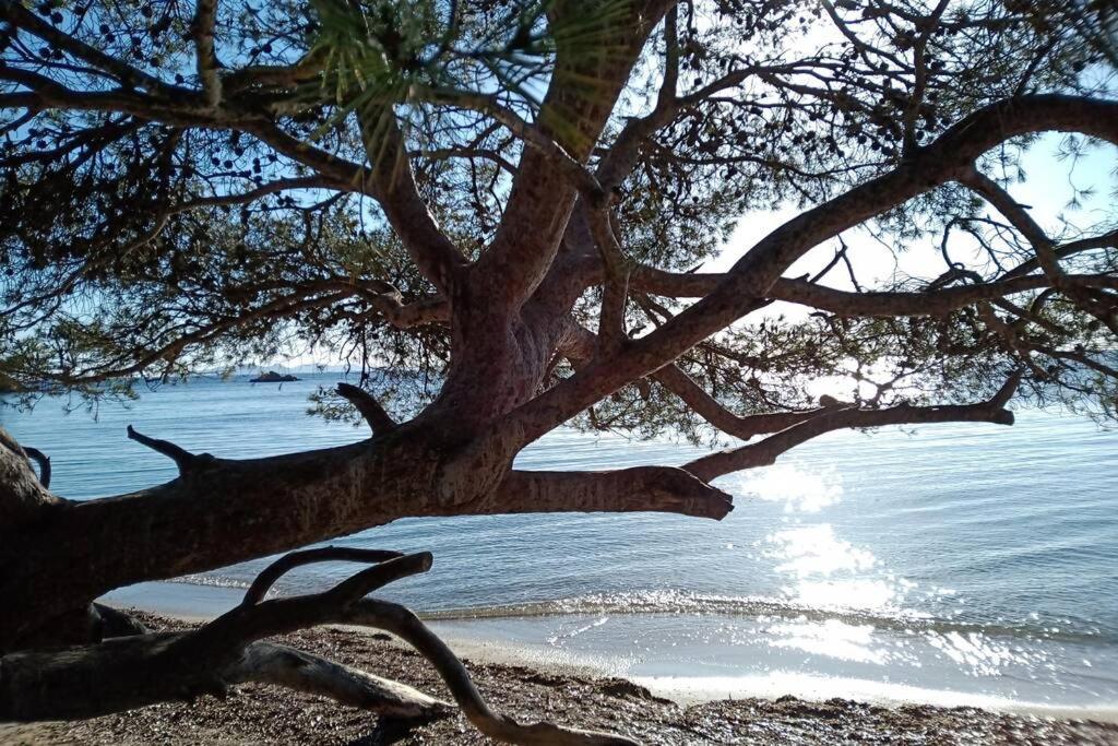 Face Mer Entre Plage Et Marina บอร์มส์-เลส์-มิโมซาส์ ภายนอก รูปภาพ