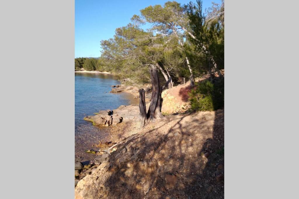 Face Mer Entre Plage Et Marina บอร์มส์-เลส์-มิโมซาส์ ภายนอก รูปภาพ